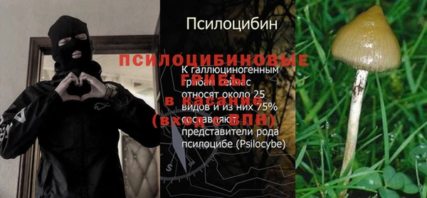 jwh Верхний Тагил