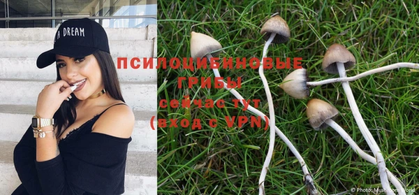 jwh Верхний Тагил