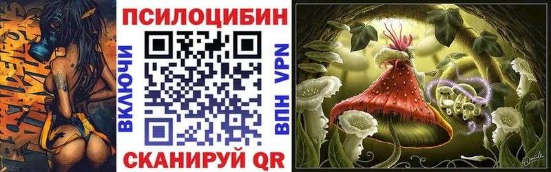 Галлюциногенные грибы Psilocybe  Грозный 